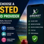 How to Choose a Trusted Cricket ID Provider